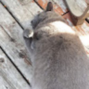 Meet your Posher, Alexandra